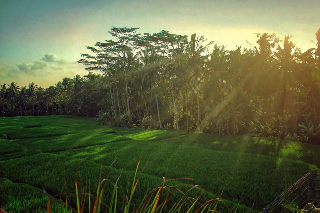 Warisan Ubud Villa エクステリア 写真